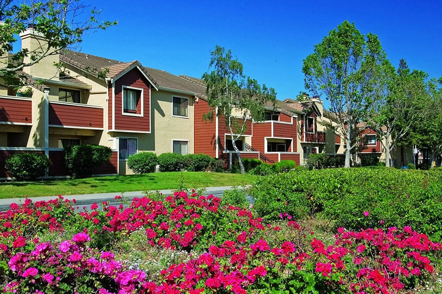 Belmont Apartment Homes photo 5